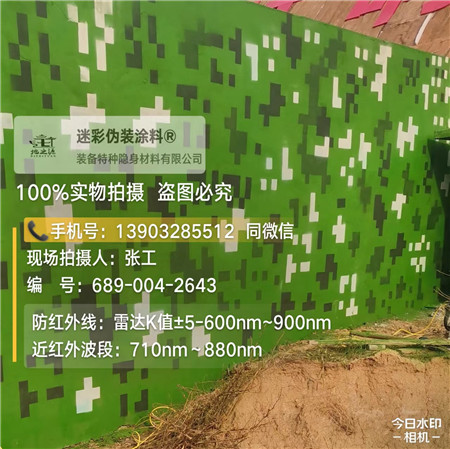 双鸭山星空迷彩漆，夏令营训练,数码迷彩作训墙,围墙