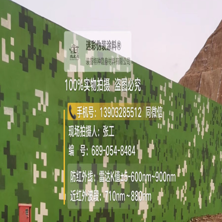 双鸭山专业承接园区围墙迷彩喷涂、